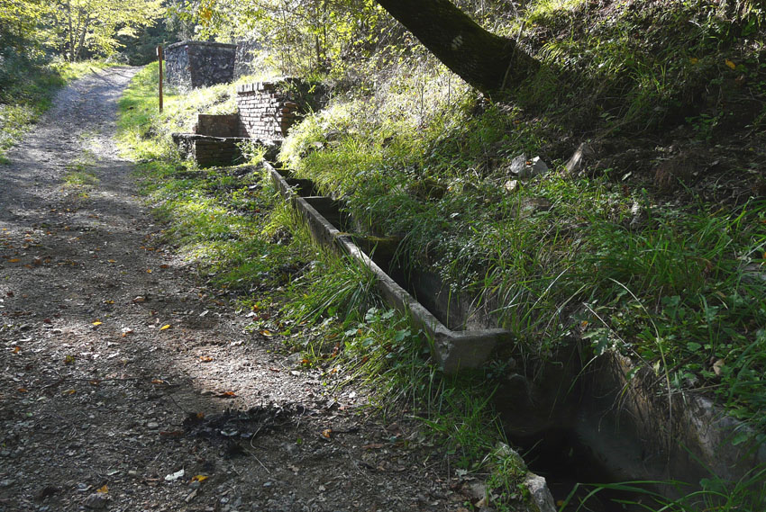 Fontanili della Toscana